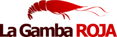 logo (3).png
